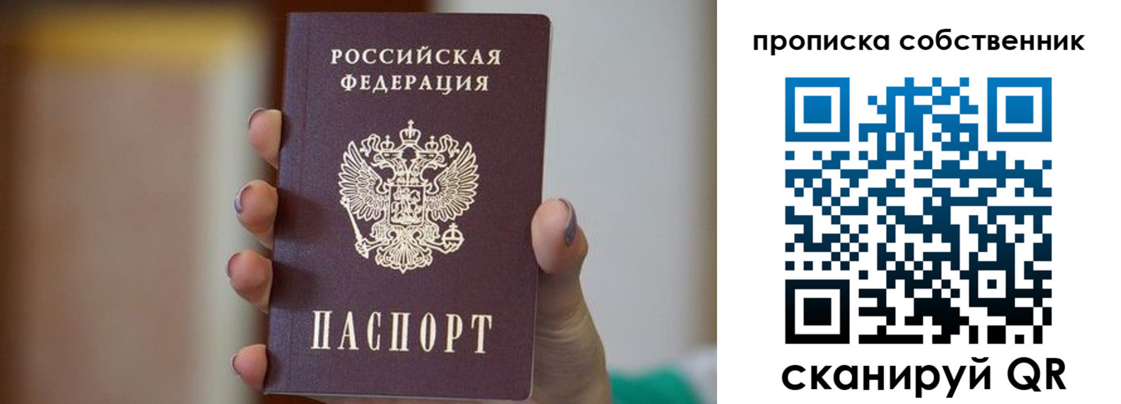 прописка поиск в Ермолино
